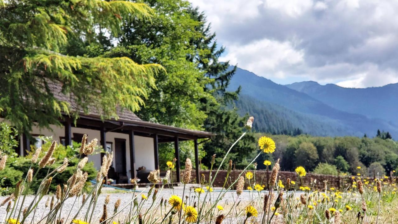 Paradise Village Ashford Zewnętrze zdjęcie