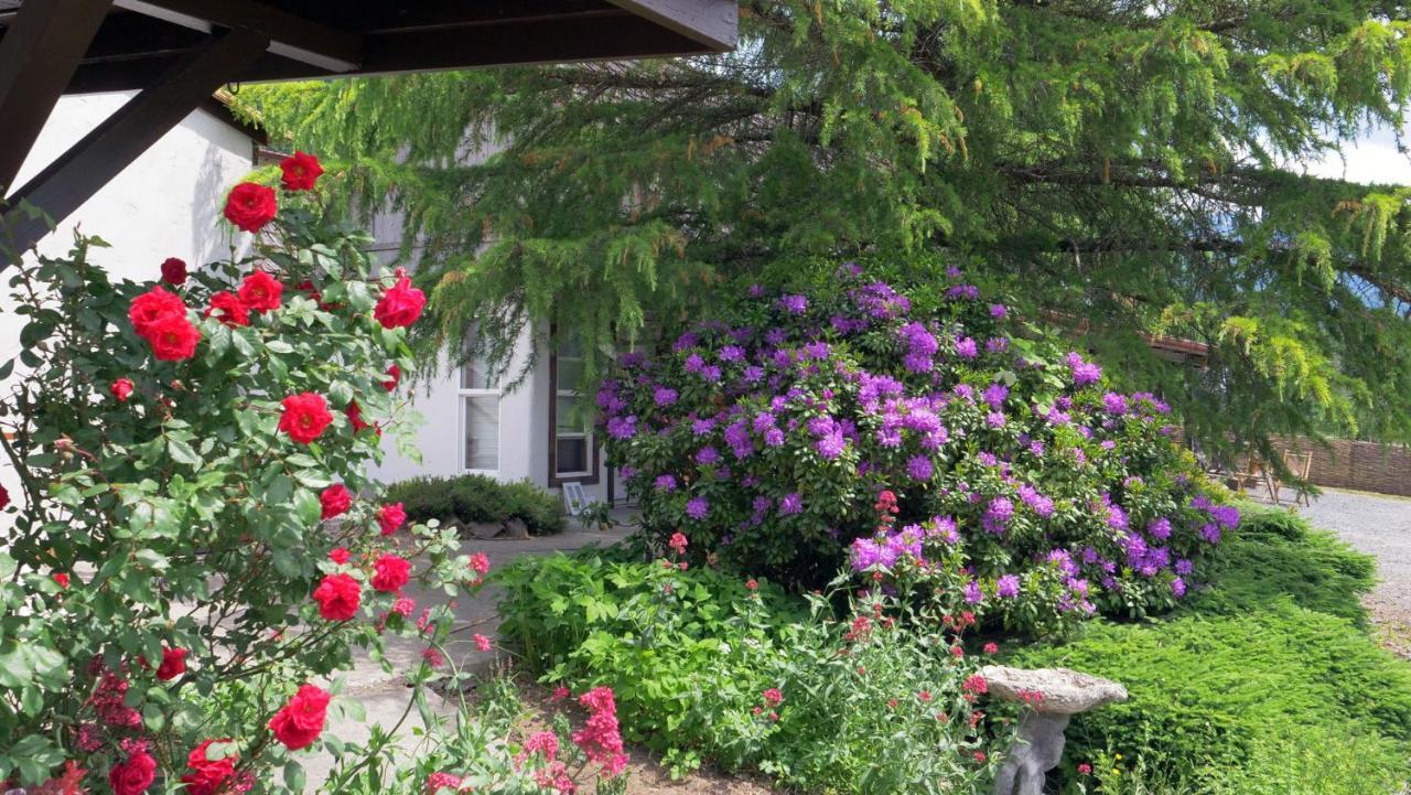 Paradise Village Ashford Zewnętrze zdjęcie