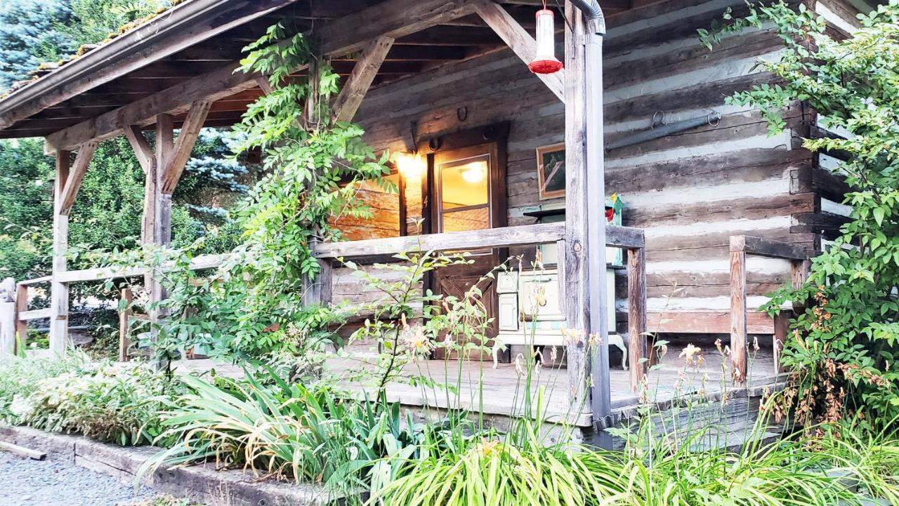 Paradise Village Ashford Zewnętrze zdjęcie